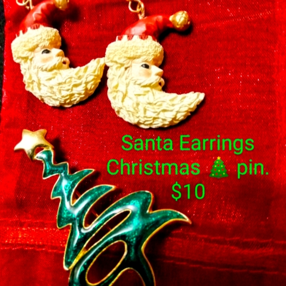 Set of earrings and a pin. Like new condition.